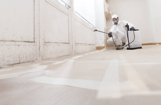 24/7 Emergency Attic Mold Remediation experts in Elmhurst, IL